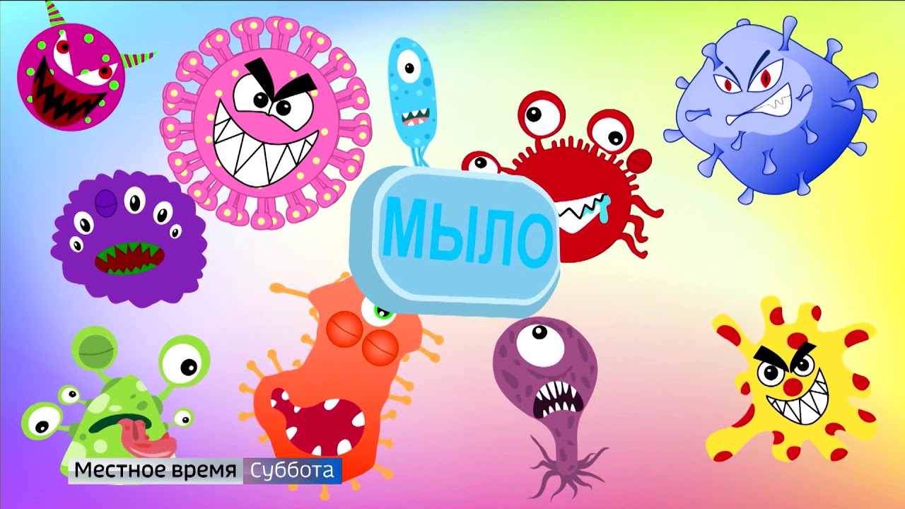 Мастер-класс по созданию мультфильма от студии «Володя Морковкин»